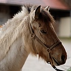 Nach der Behandlung