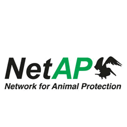 Logo NetAP